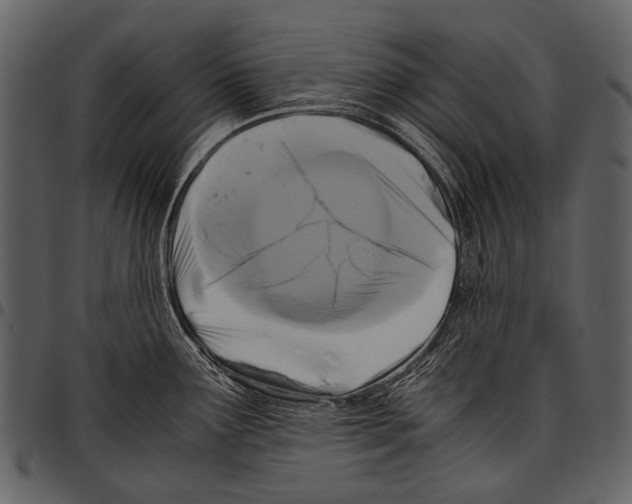 X0000097501291200803201544