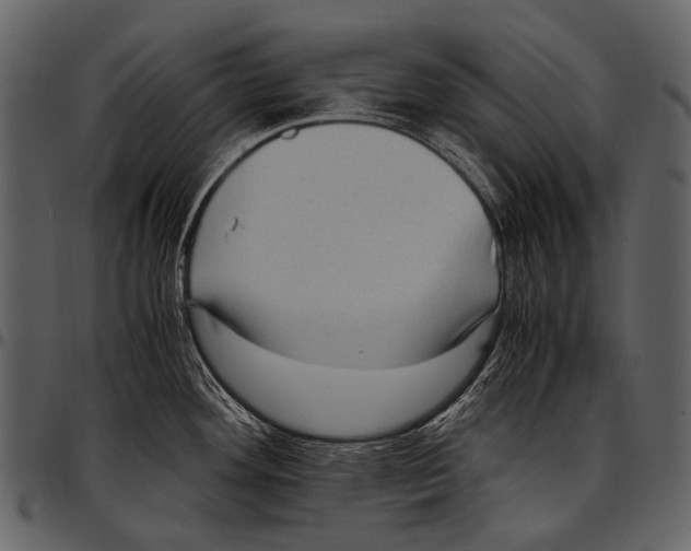 X0000097501292200803201544