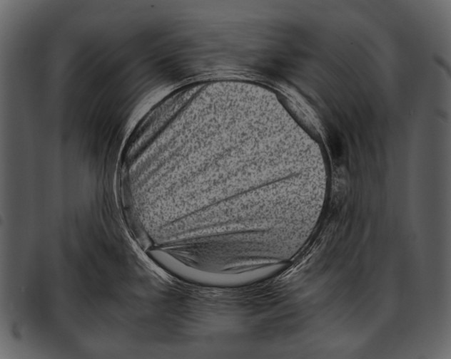 X0000097501293200803201544