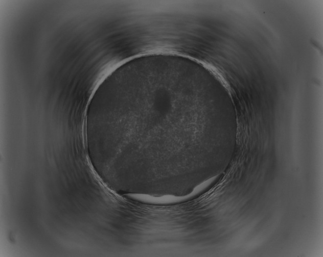 X0000097501295200803201544