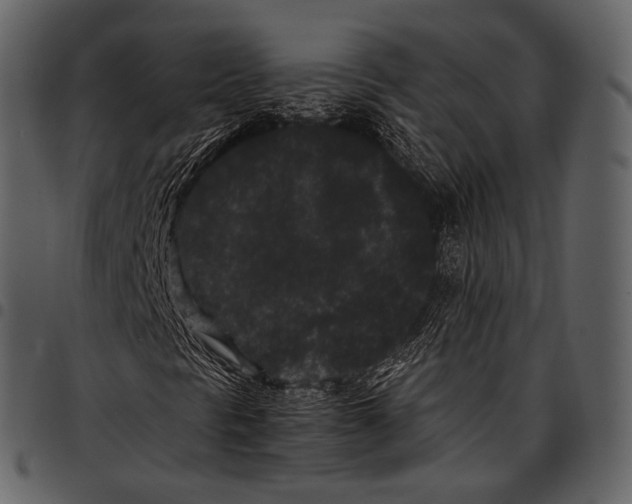 X0000097501297200803201543