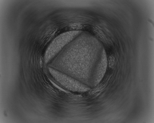 X0000097501298200803201543