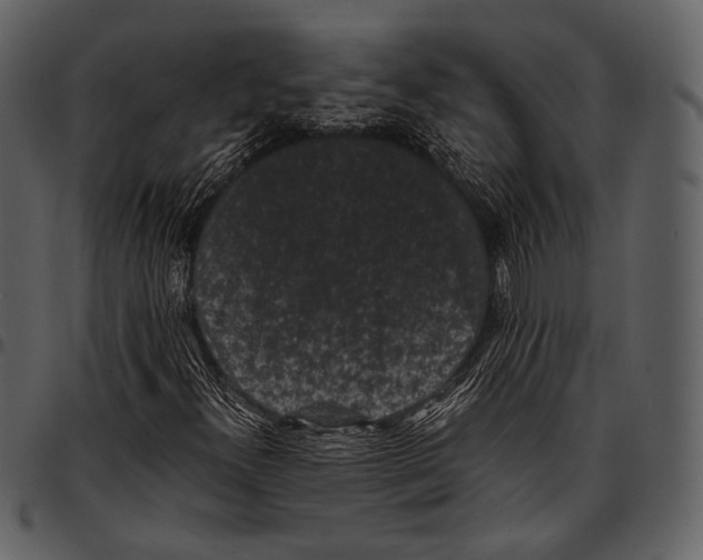 X0000097501300200803201543