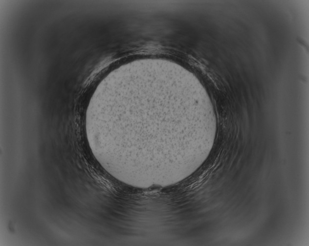 X0000097501304200803201543