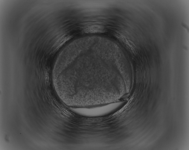 X0000097501305200803201543