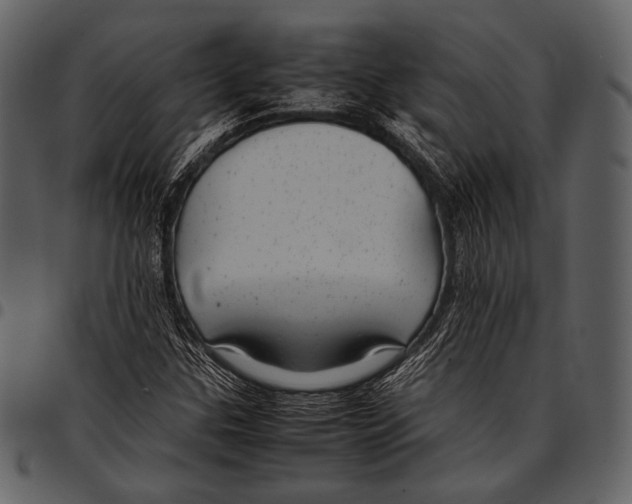 X0000097501307200803201543