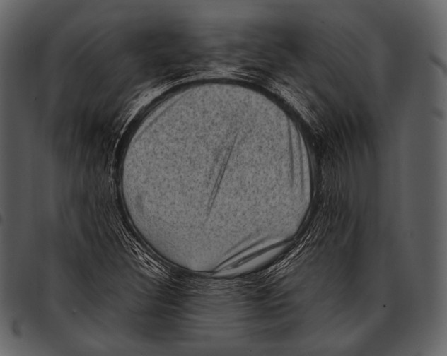 X0000097501308200803201543