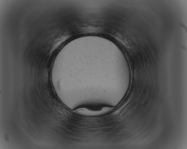 X0000097501309200803201543