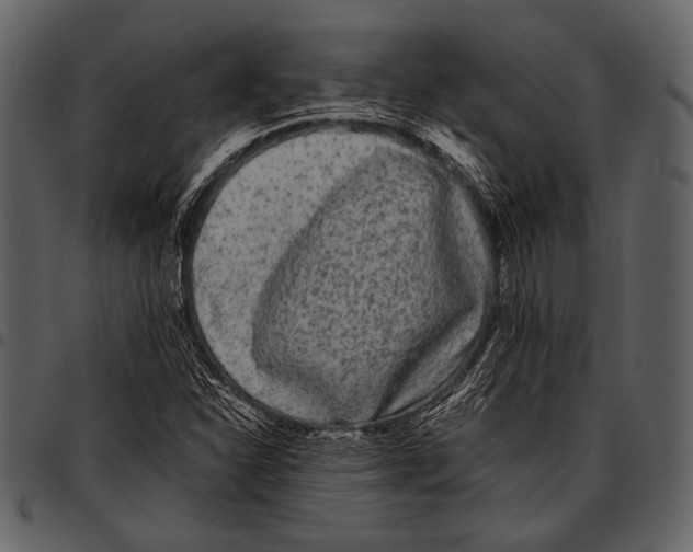 X0000097501310200803201543