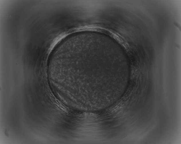 X0000097501312200803201544