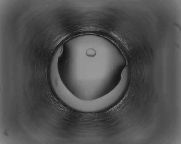 X0000097501313200803201544
