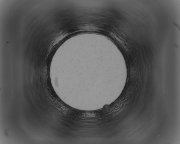 X0000097501315200803201544