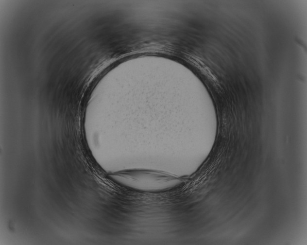 X0000097501316200803201544