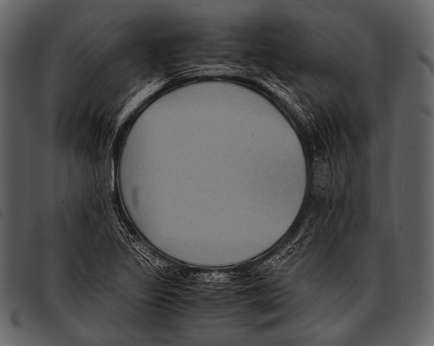 X0000097501317200803201544