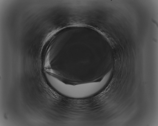 X0000097501319200803201544