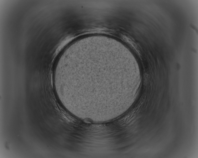 X0000097501320200803201544