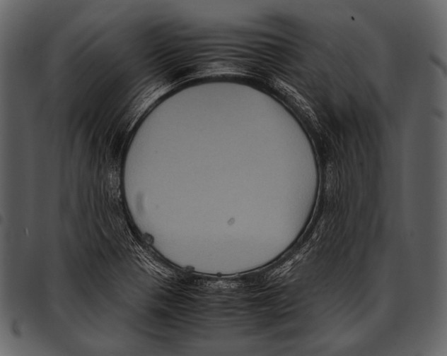 X0000097501321200803201544