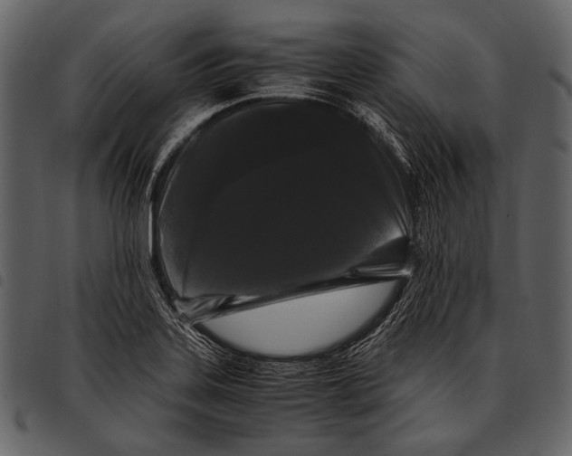 X0000097501323200803201544
