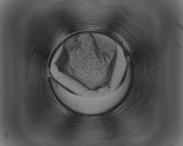 X0000097501324200803201544