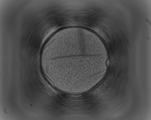 X0000097501325200803201544