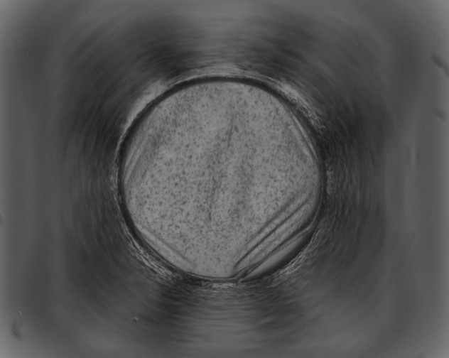 X0000097501326200803201544