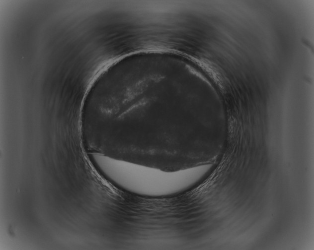 X0000097501327200803201544