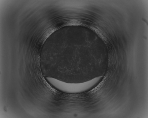 X0000097501329200803201544