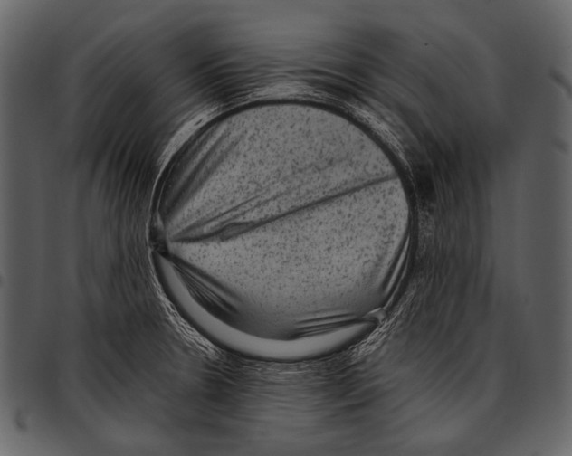 X0000097501330200803201544