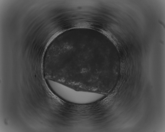 X0000097501331200803201544