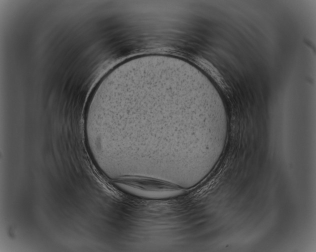 X0000097501332200803201544