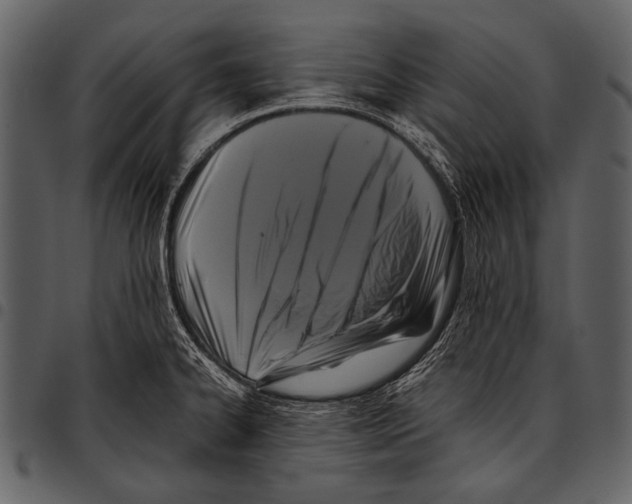 X0000097501334200803201544