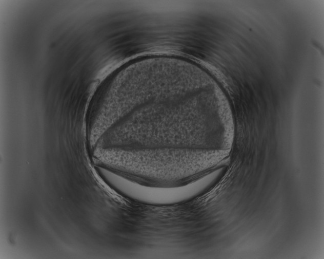 X0000097501335200803201544