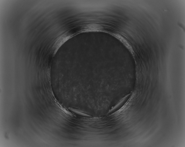 X0000097501337200803201544