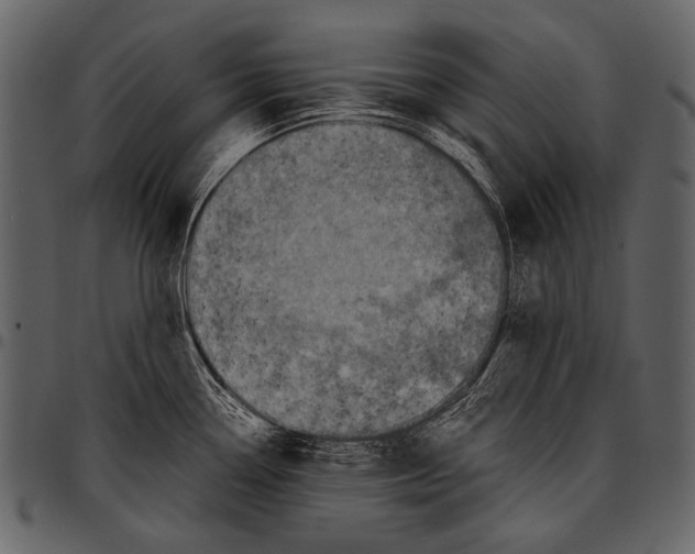 X0000097501338200803201544