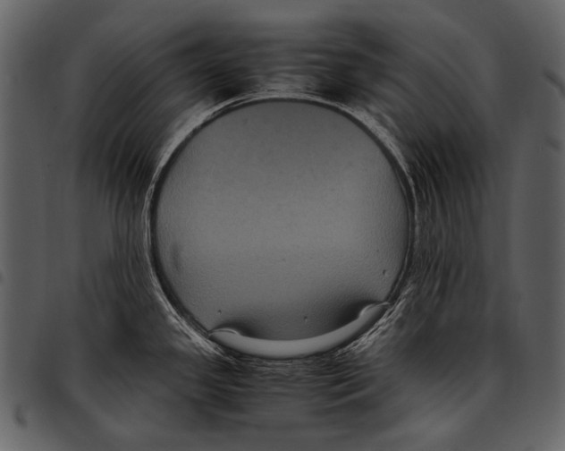 X0000097501341200803201544