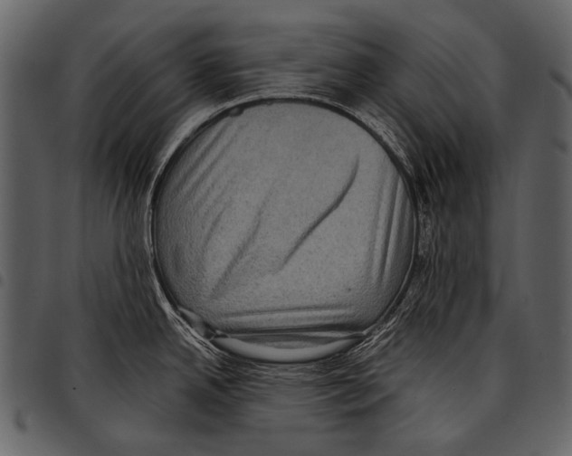 X0000097501342200803201544