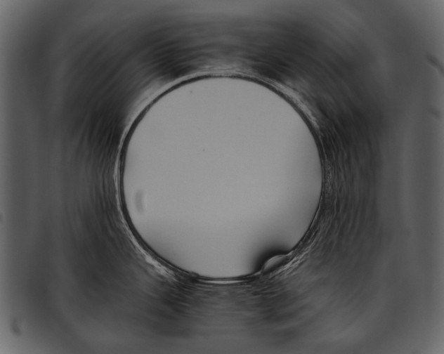X0000097501343200803201544