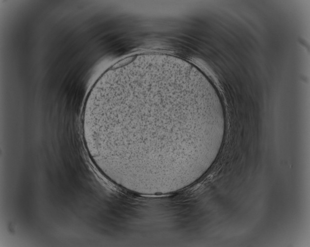 X0000097501344200803201544