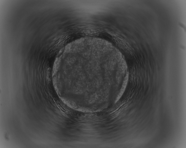 X0000097501346200803201543