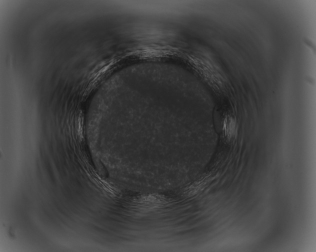 X0000097501348200803201543