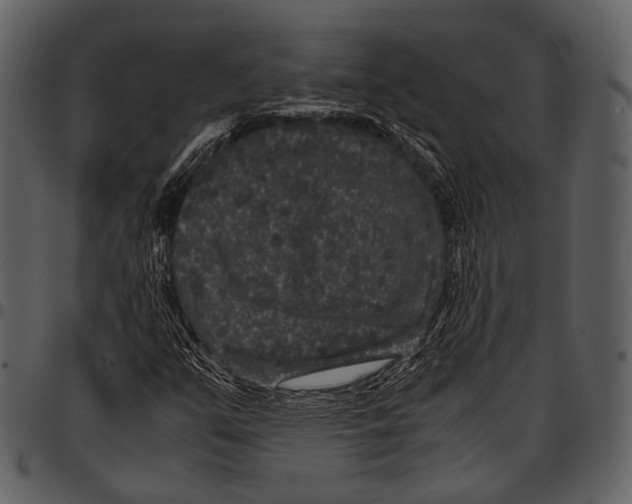 X0000097501351200803201543