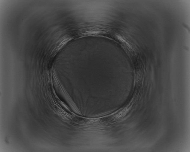 X0000097501353200803201543