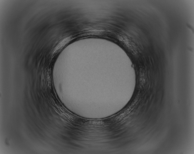 X0000097501354200803201543