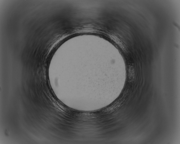 X0000097501356200803201543
