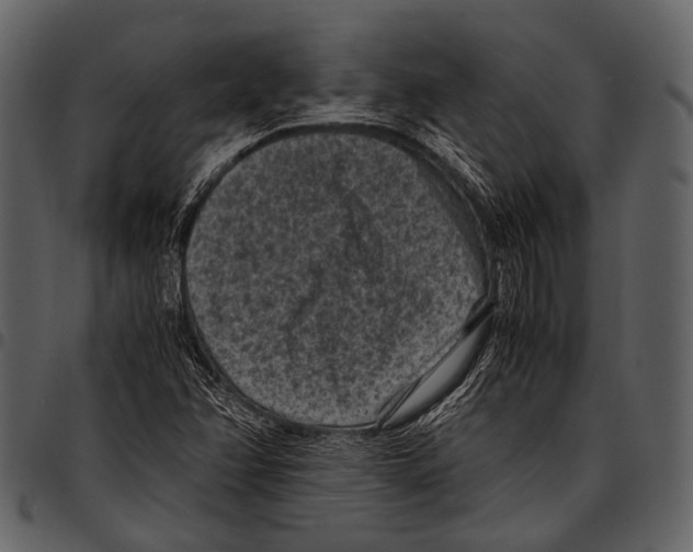 X0000097501358200803201543
