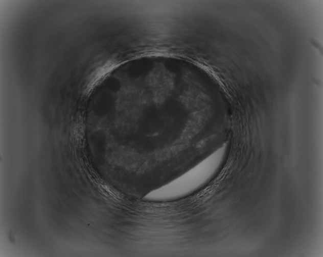 X0000097501359200803201543