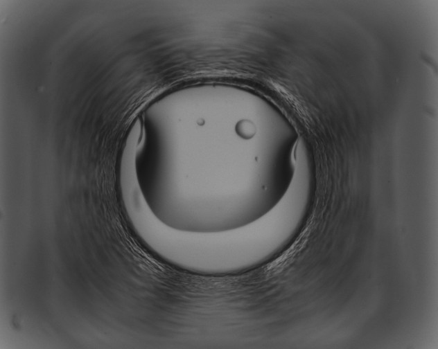 X0000097501361200803201543