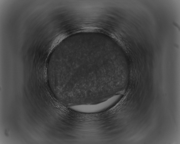 X0000097501362200803201543