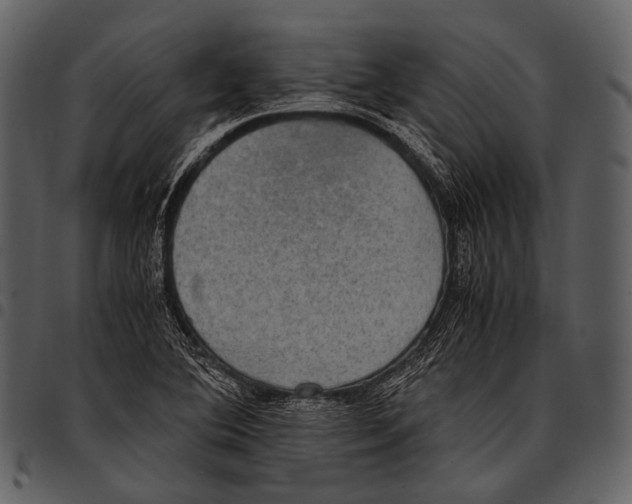 X0000097501364200803201543