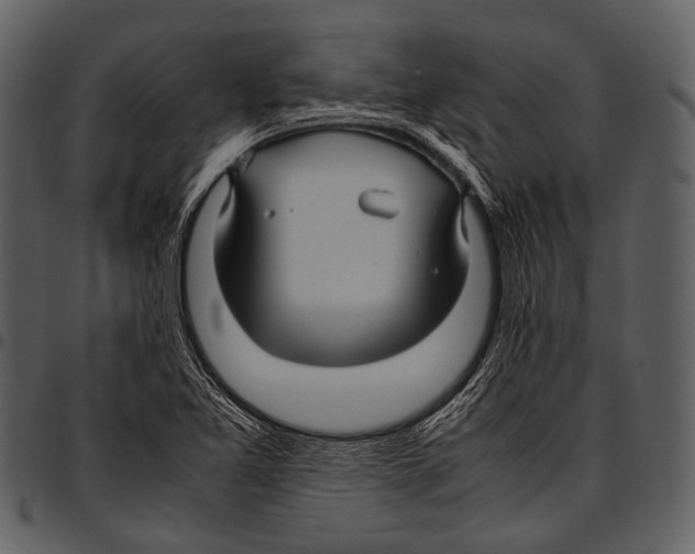X0000097501365200803201543